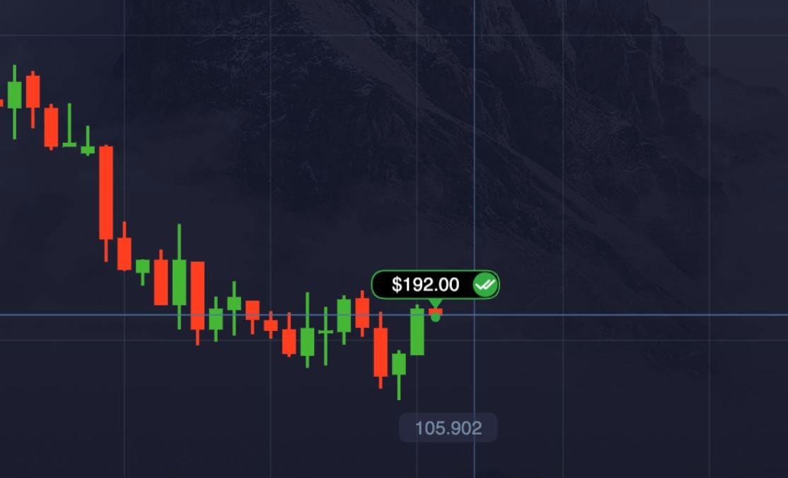 Zarađivanje profita